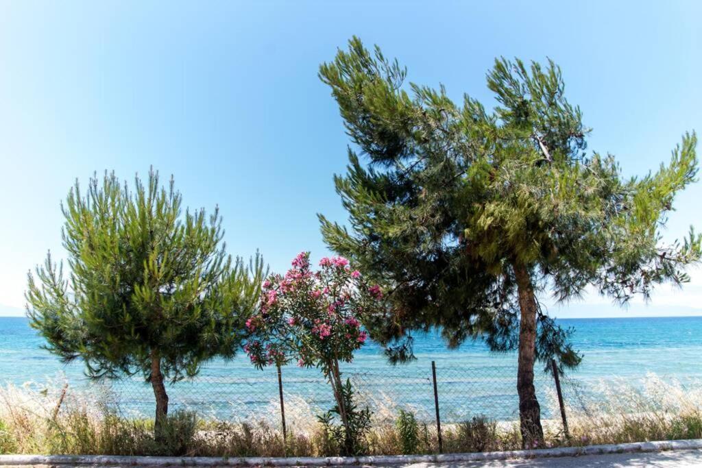 Seafront 2 Bedrooms Apartment Nea Iraklia Bagian luar foto