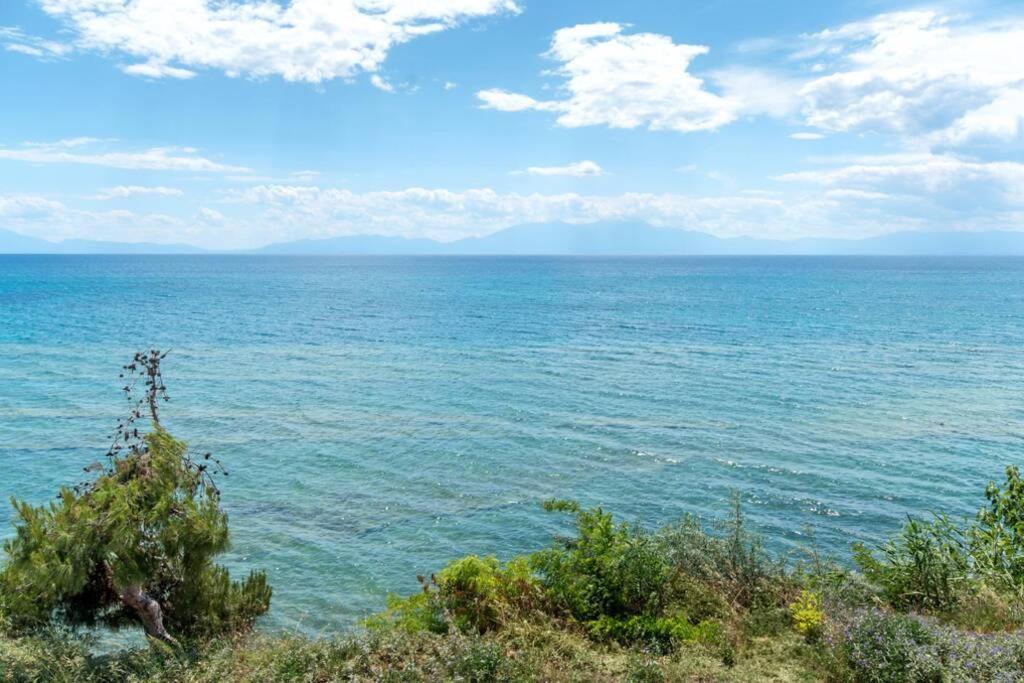 Seafront 2 Bedrooms Apartment Nea Iraklia Bagian luar foto