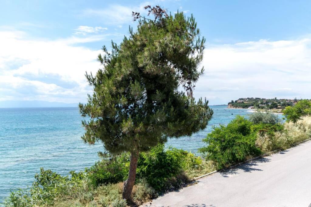 Seafront 2 Bedrooms Apartment Nea Iraklia Bagian luar foto